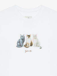 SITTING CATS