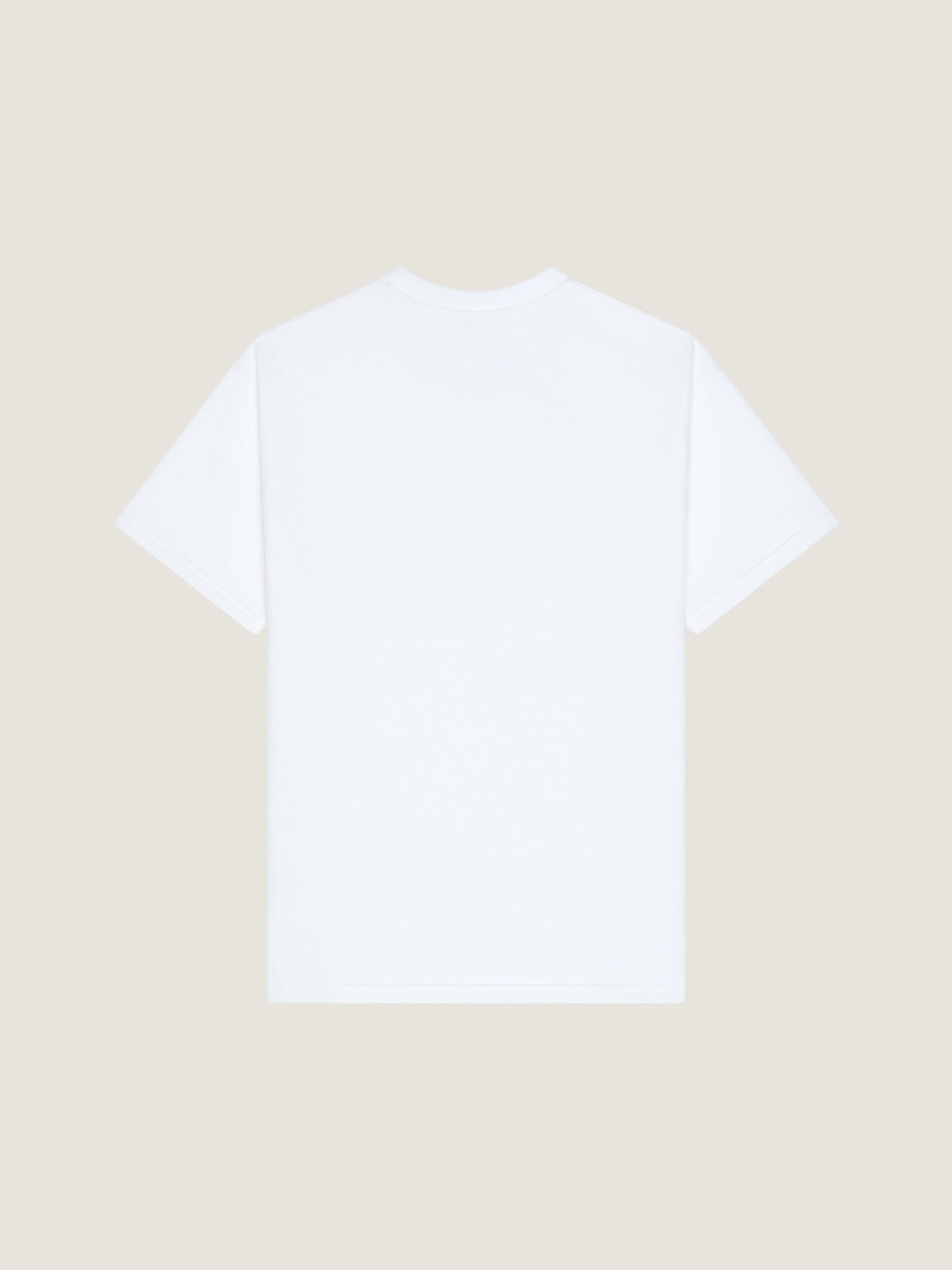 COTTON SILK JERSEY