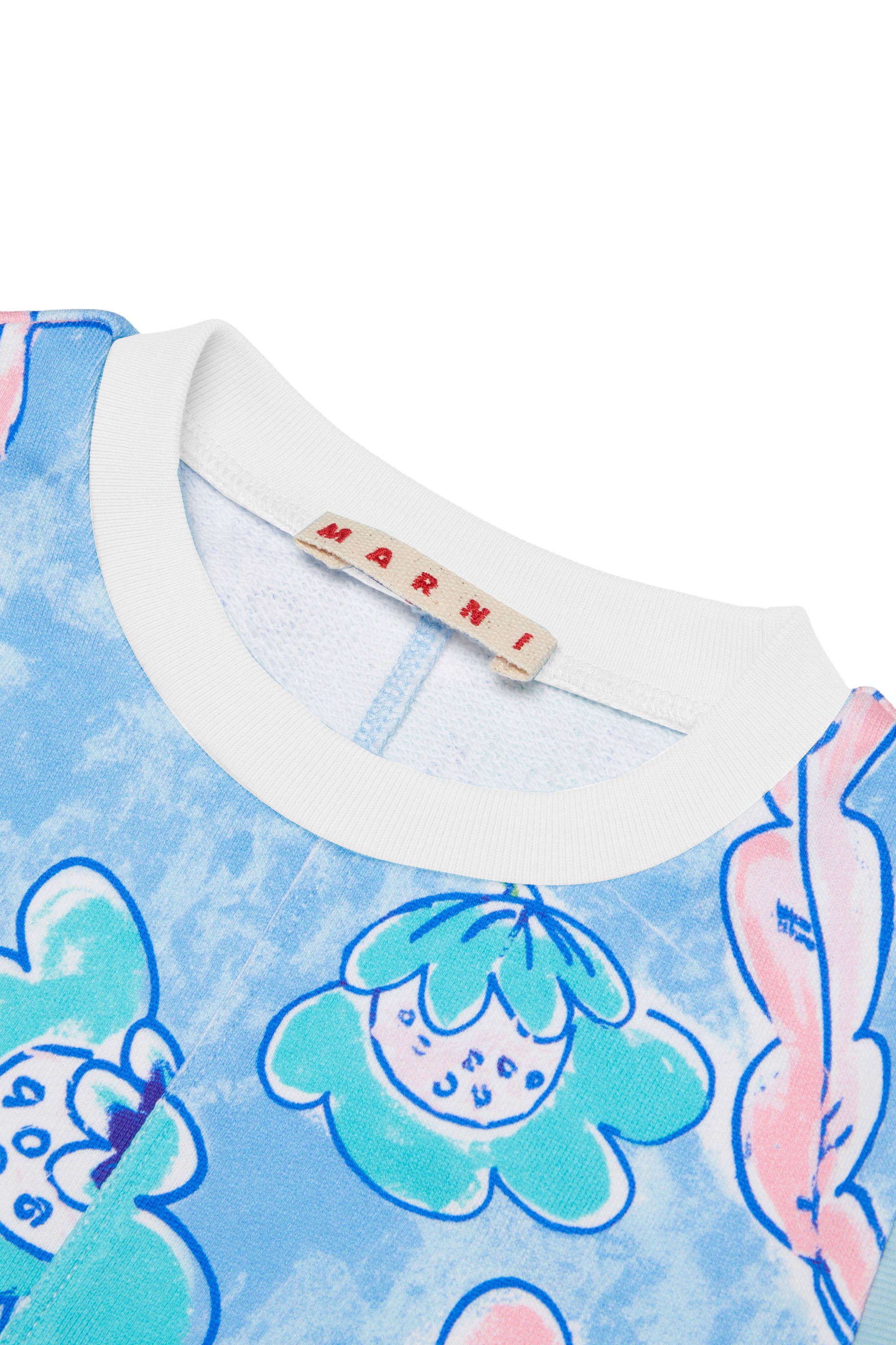 Sweatshirt à impression - Corydalis Blue