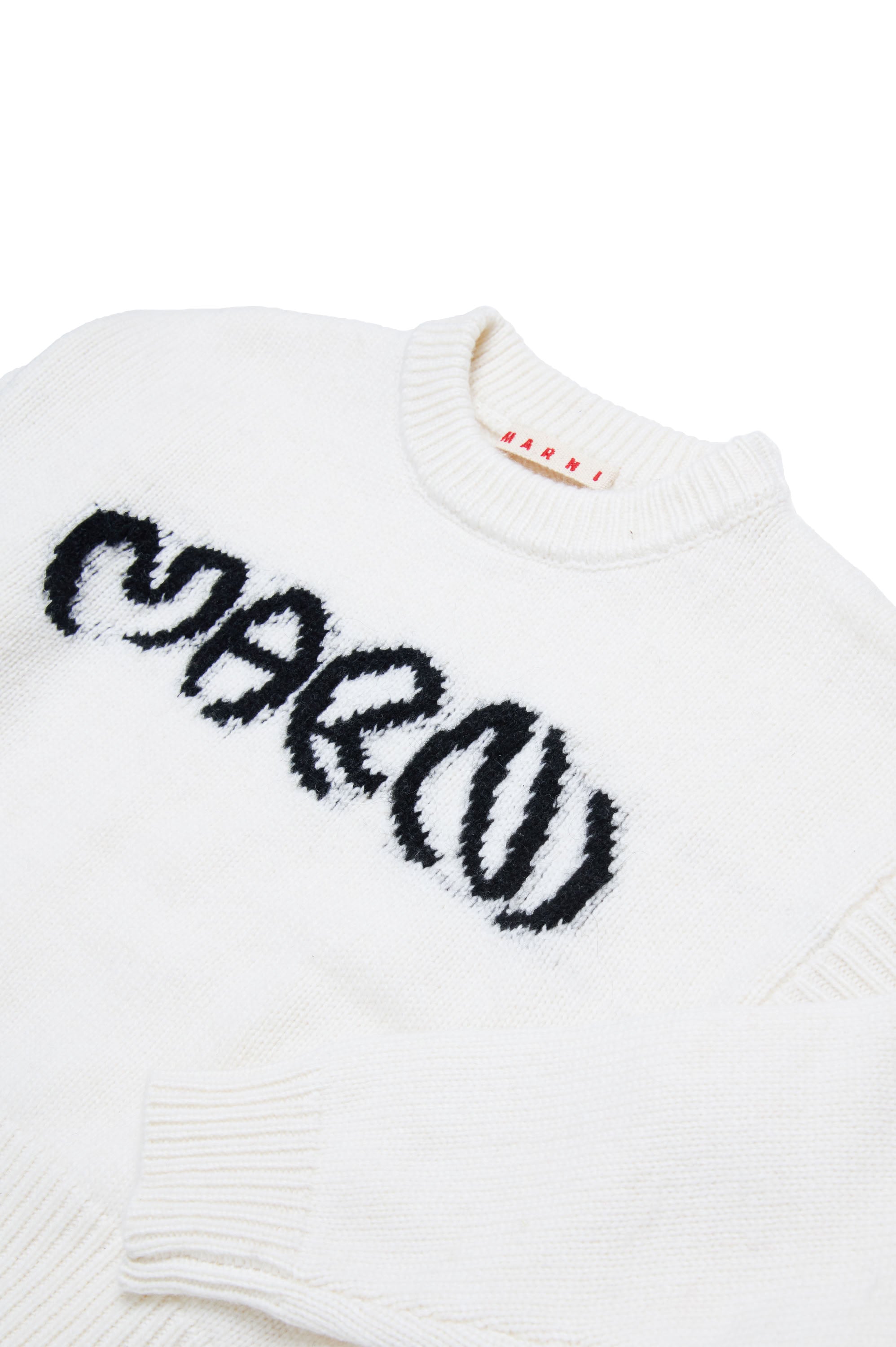 Jumper with wool logo - Natural