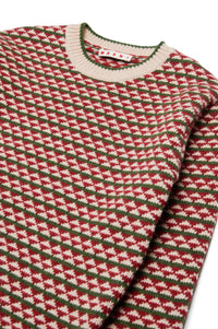 Pull à imprimé jacquard en laine - Deep Lichen Green