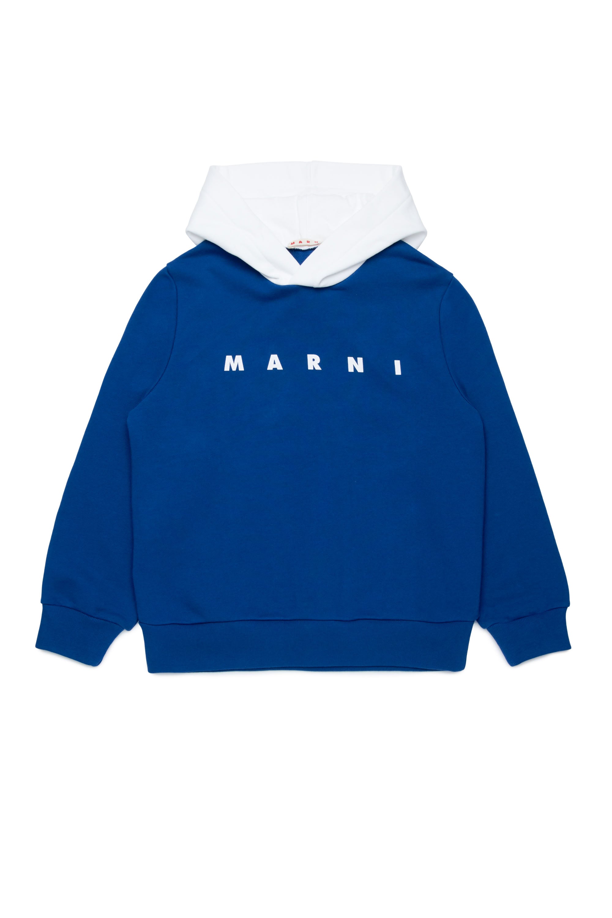 Sweat à capuche avec logo - True Blue