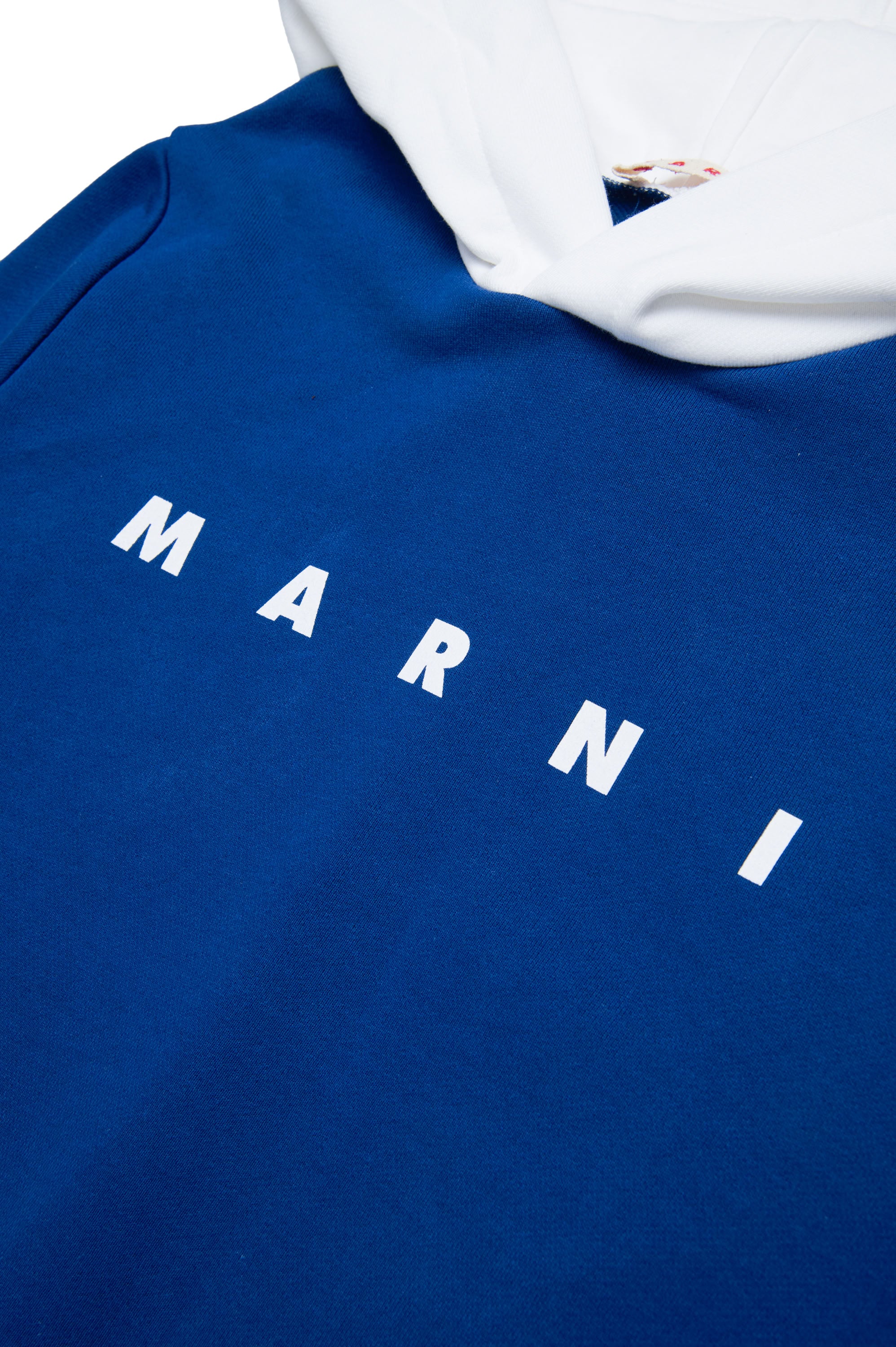 Sweat à capuche avec logo - True Blue