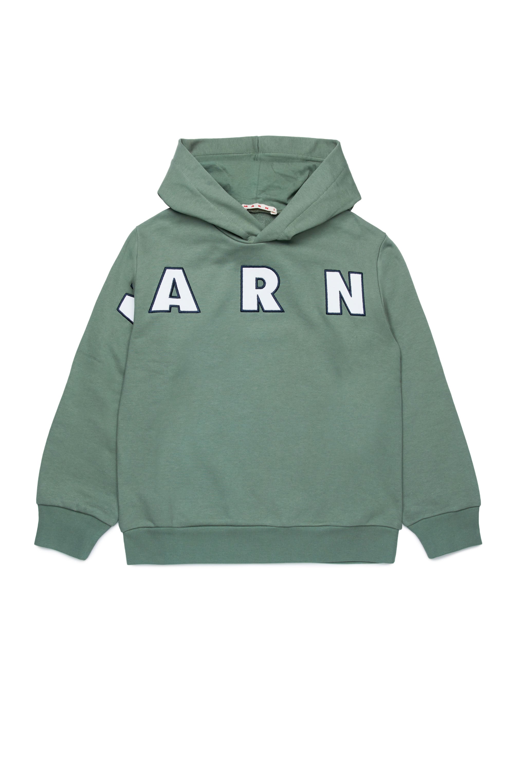 Sweat à capuche avec logo - Deep Lichen Green