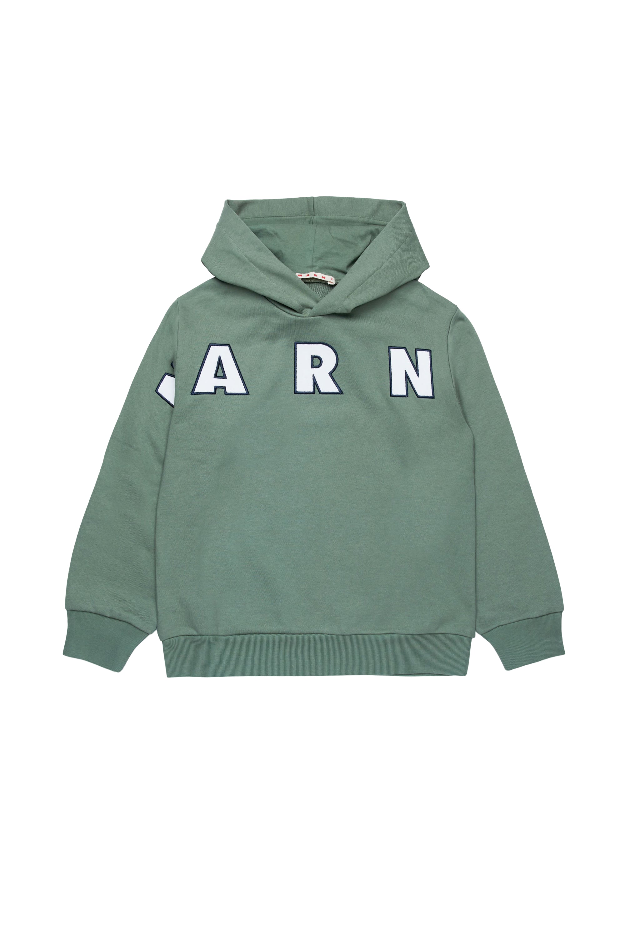 Sweat à capuche avec logo - Deep Lichen Green