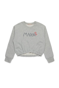 Sweatshirt avec logo - Inox Gray Melange