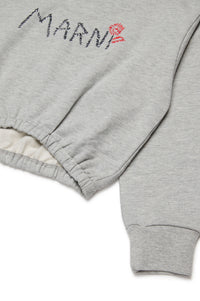 Sweatshirt avec logo - Inox Gray Melange