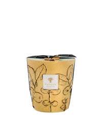 Folia Garrigue Candle 1.1kg - Yellow & Green