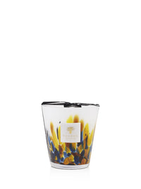 BOUGIE RAINFOREST MAYUMBE VP