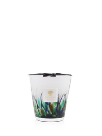 BOUGIE RAINFOREST AMAZONIA VP