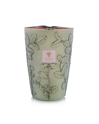 BOUGIE FOLIA MAQUIS