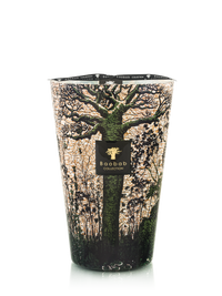 BOUGIE SACRED TREES KANI
