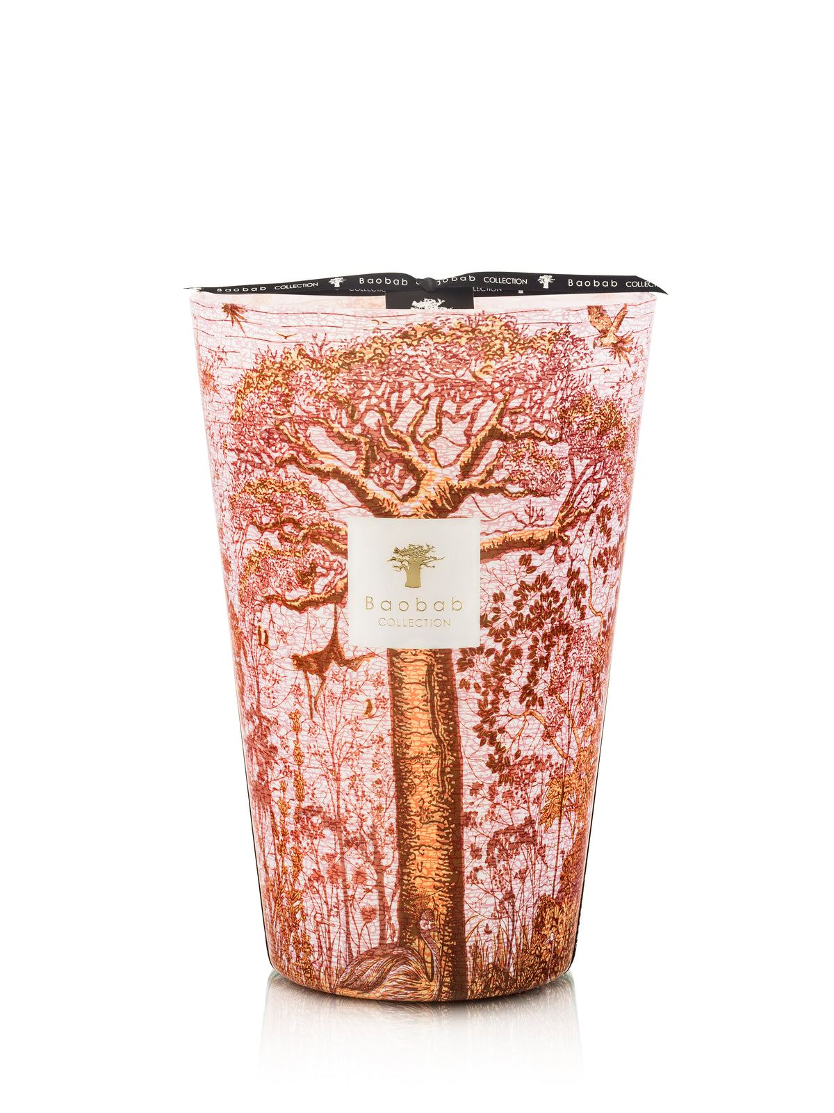 BOUGIE SACRED TREES WOROBA