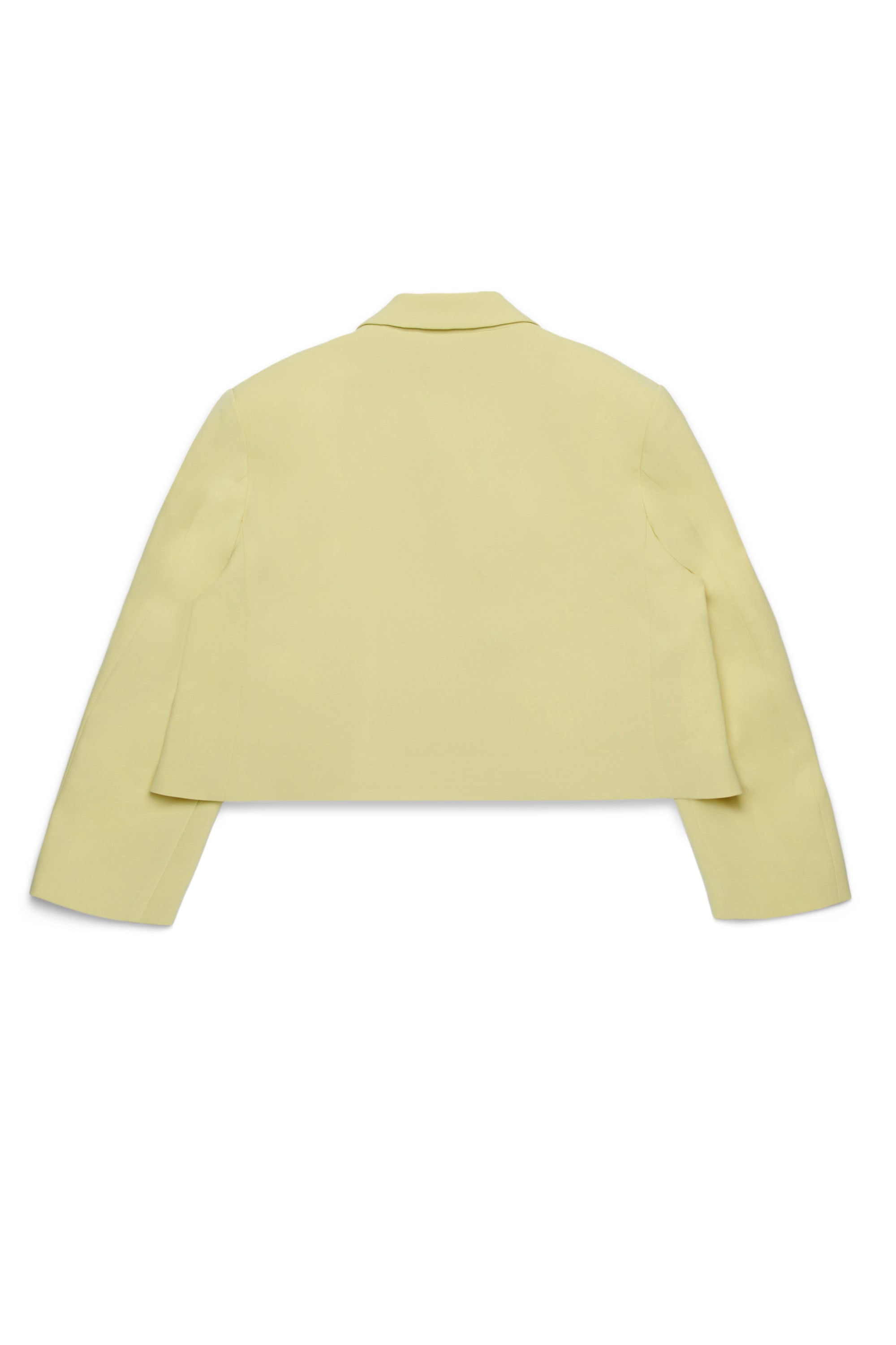 Button-down blazer - Lemon Grass