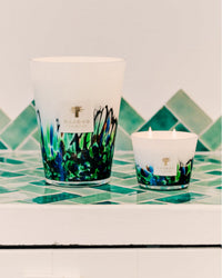 Bougie Rainforest Amazonia 500g - Multicolore