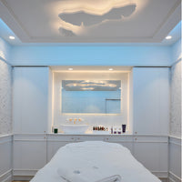 NOT IN THE OFFER / Sisley Signature Facial 1H
