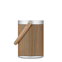 Enceinte wifi portable Beosound A5 - Raphia