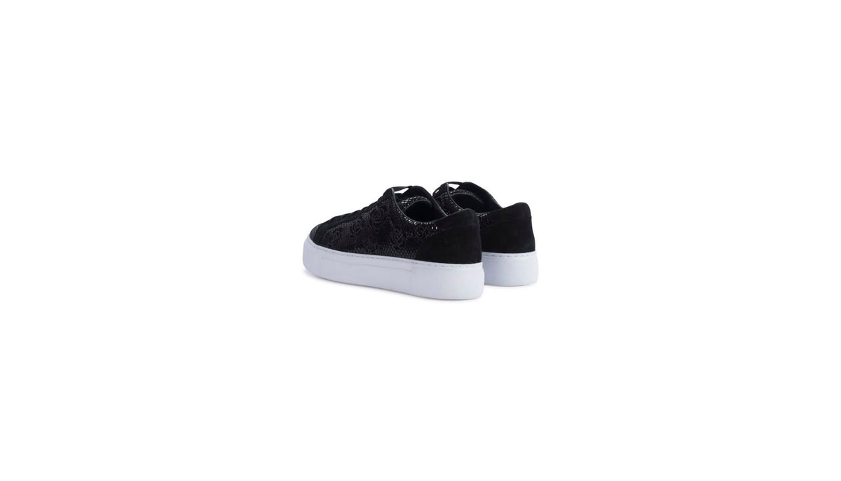 Baskets Oméga en cuir - Black