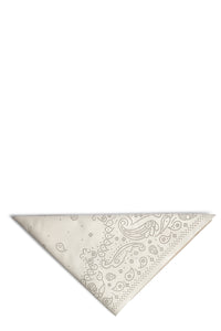 Foulard Cuir Bandy en cuir - Flash