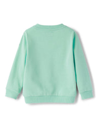 mf198m0030_5348 // DOUBLON FUSION /// DOUBLON DEVIENT OK PICS / felpa verde acqua con stampa tavole da surf