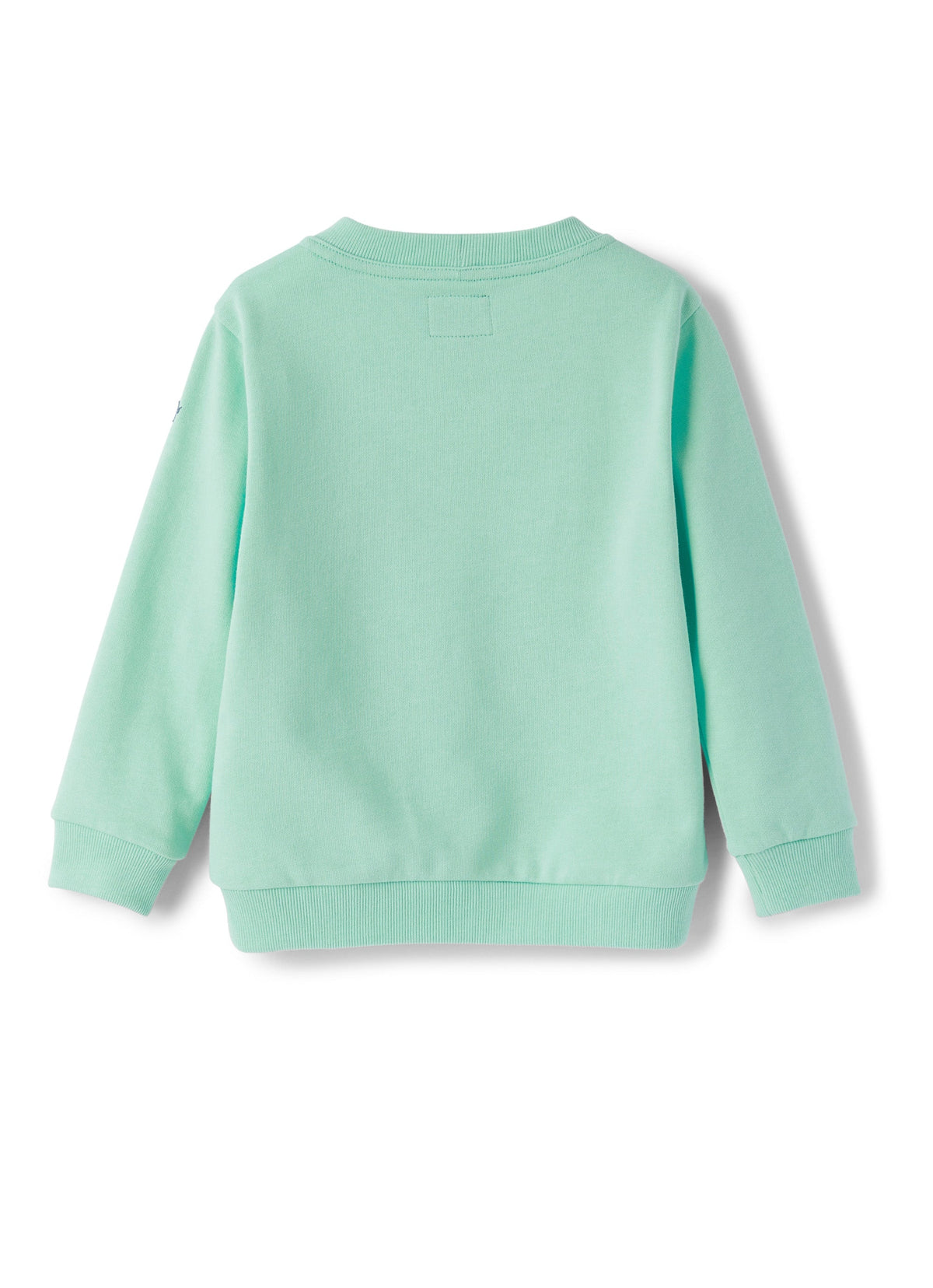 mf198m0030_5348 // DOUBLON FUSION /// DOUBLON DEVIENT OK PICS / felpa verde acqua con stampa tavole da surf