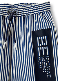 Costume boxer a righe bianche e blu
