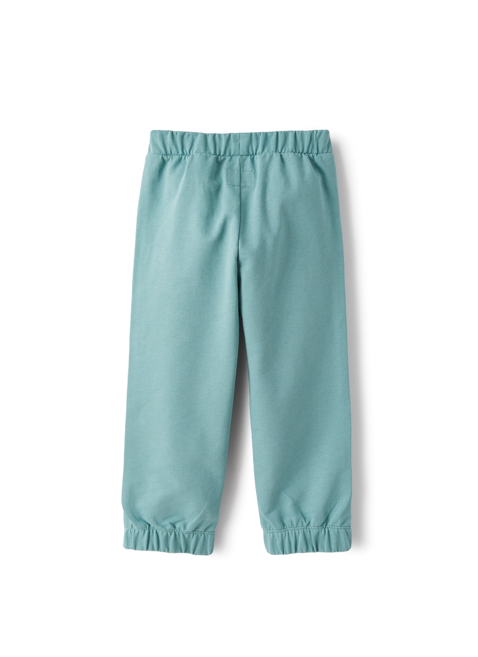 Pantalone in felpa di cotone verde