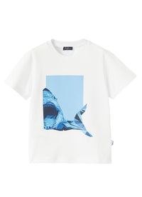 Shark print T-shirt - White & Airforce Blue