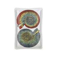 Cendrier Conchiglie en porcelaine - Multico & Noir & Blanc