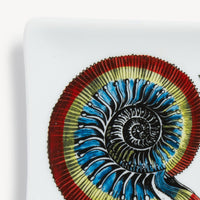 Cendrier Conchiglie en porcelaine - Multico & Noir & Blanc