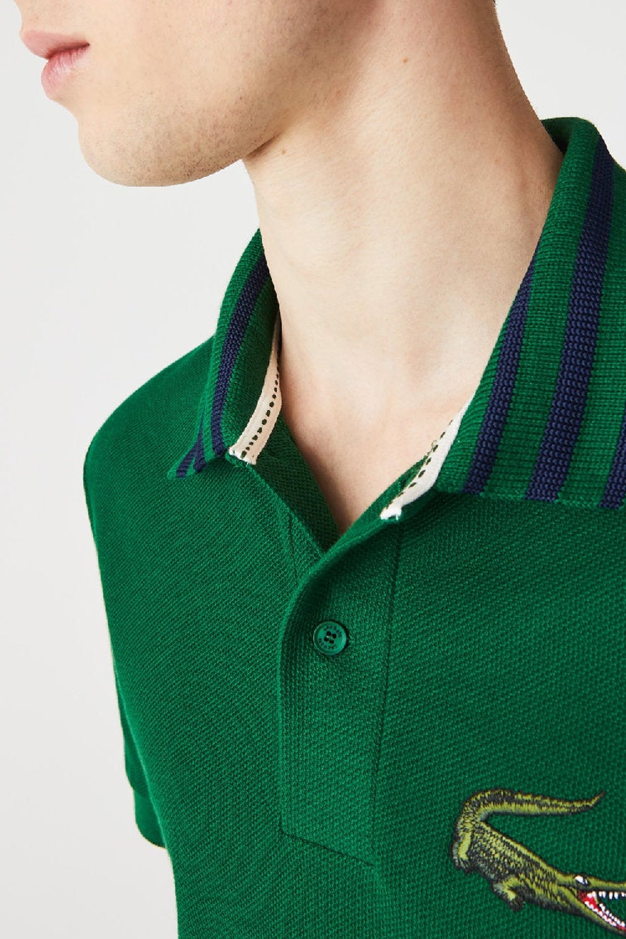 Polo shirt with striped collar - Foret