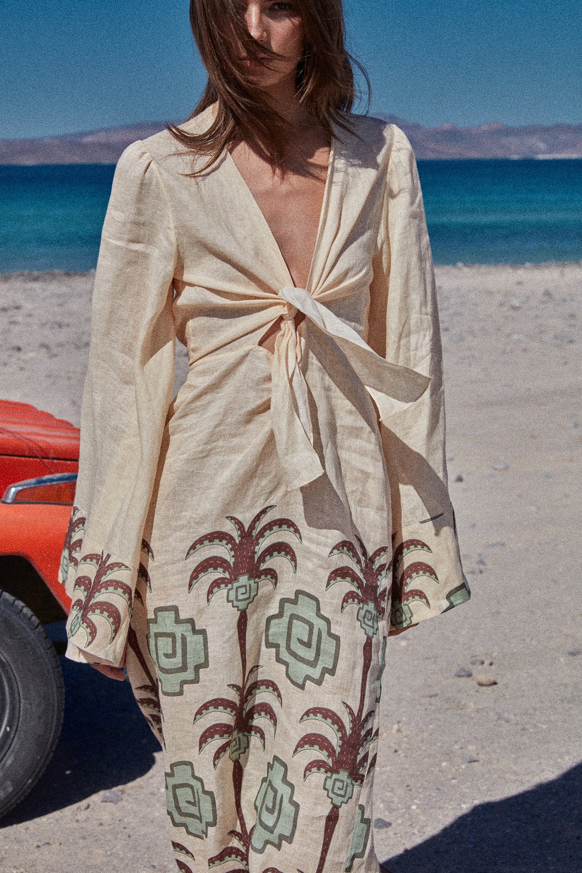 Brown / Sailing Flags Dress