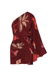 Wine / Hidden Oasis Dress