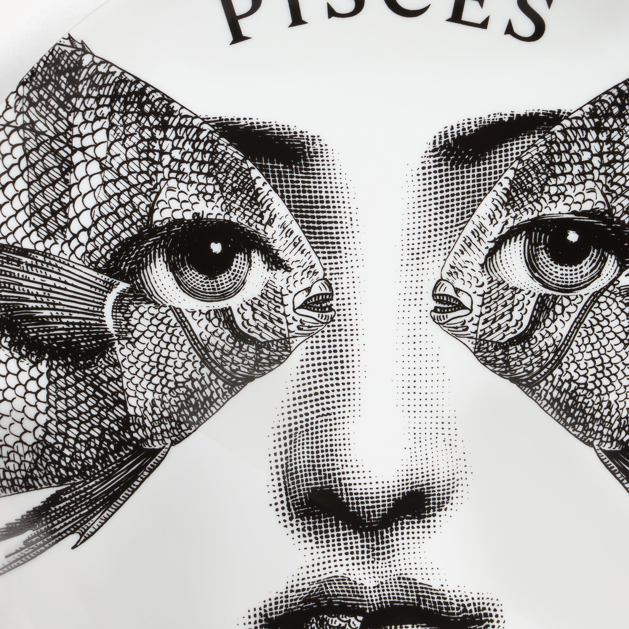 Tema e Variazioni n.359 porcelain plate - Black & White