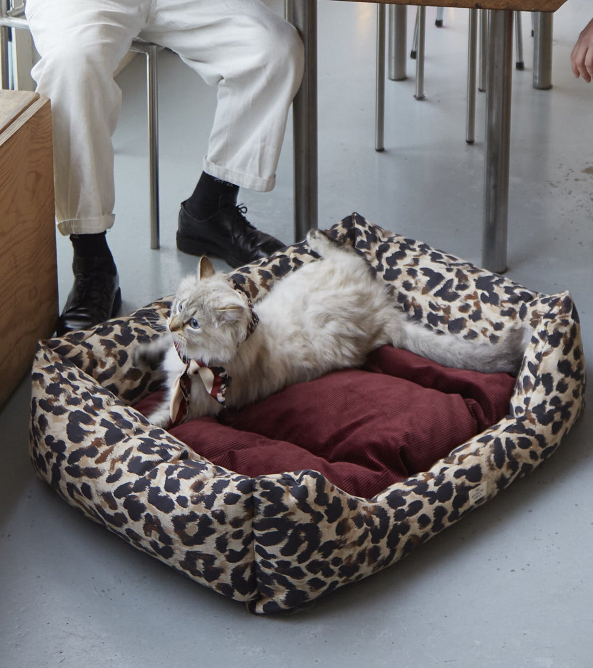 Panier pour chien Compagno - Léopard et Prune