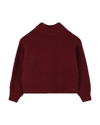 Pull à col roulé en tricot - L Garnet