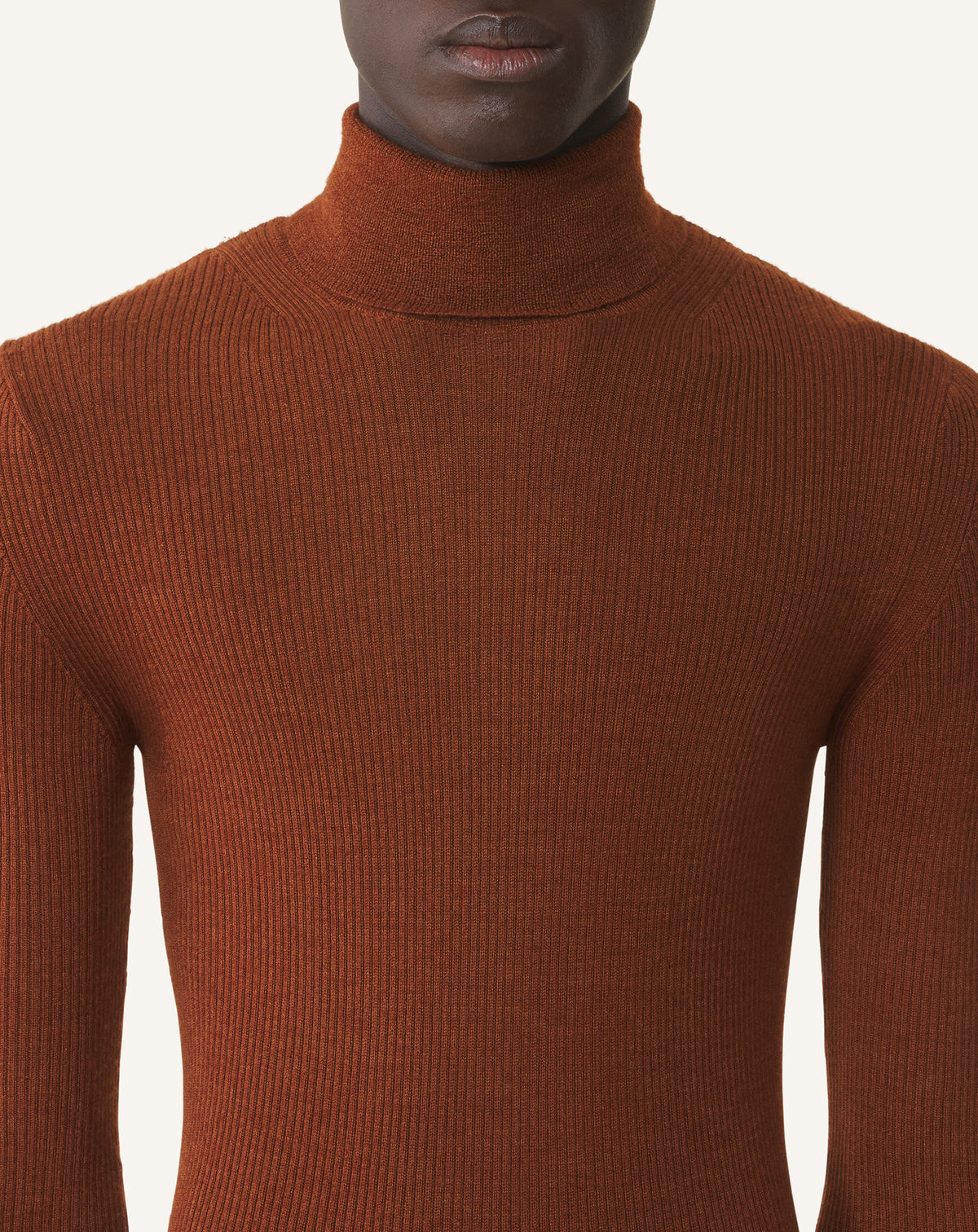 Pull col roulé - Alezan
