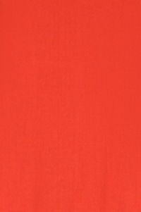ZNOSTOCK_RED ROBE NOODLE - Red