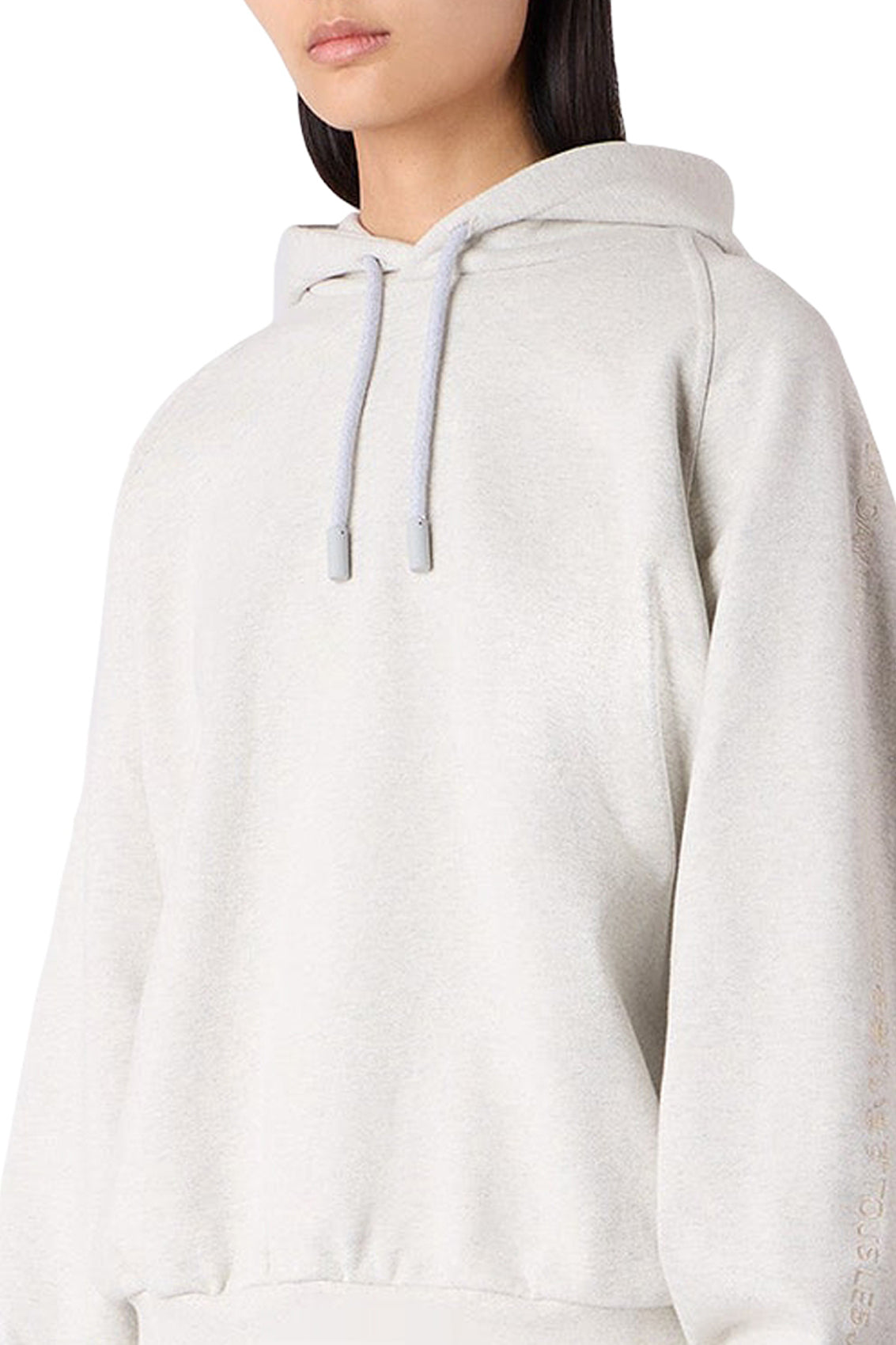 Eiws hoody - Light grey