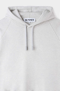 Eiws hoody - Light grey