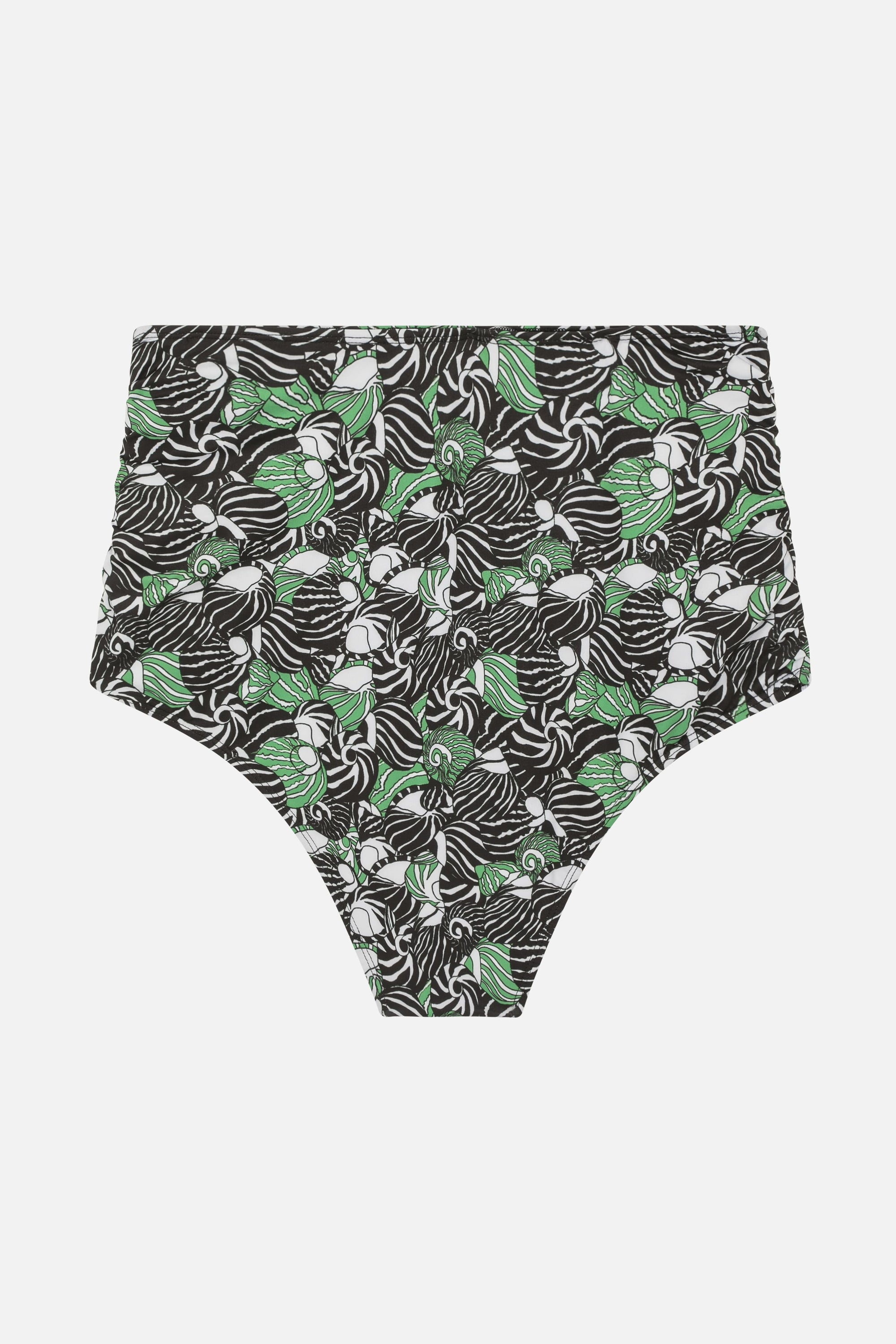 Bas de maillot Vito à motif coquillages - Vert Prairie