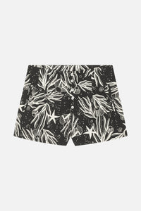 Short Wheeler Holiday - Charbon
