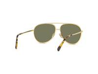 Sunglasses Pilot - Shiny Endura Gold & Green