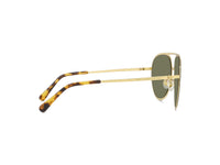 Sunglasses Pilot - Shiny Endura Gold & Green