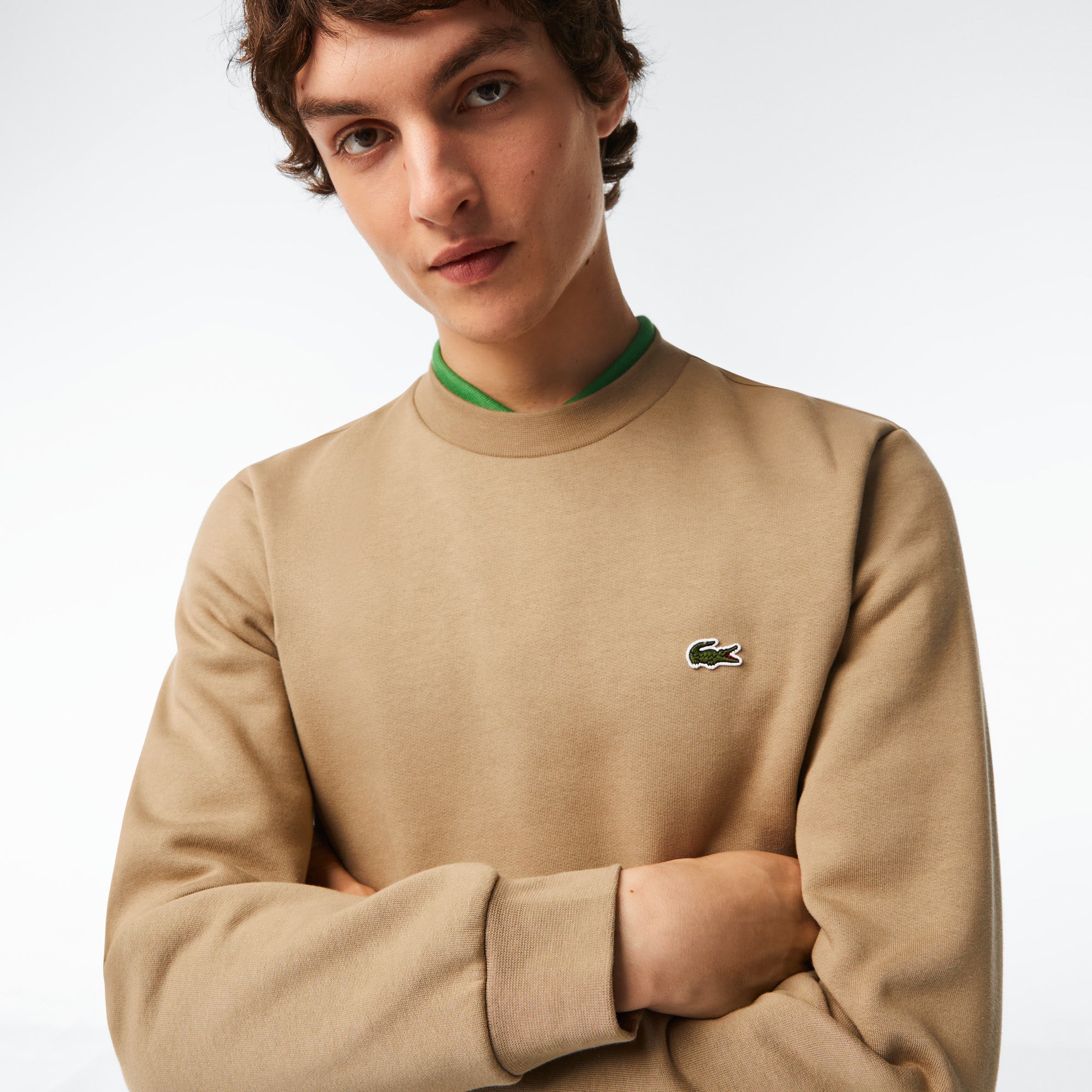 Sweatshirt - Lion