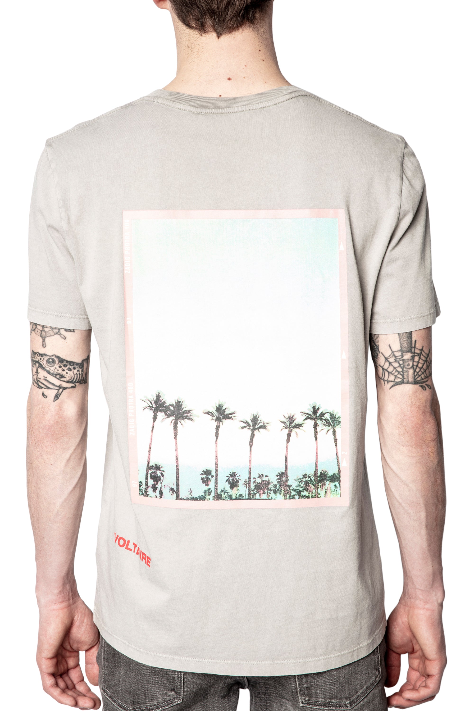 ZHORS LINE LIGHT GREY TED HC PEACE PHOTOPRINT T-SHIR