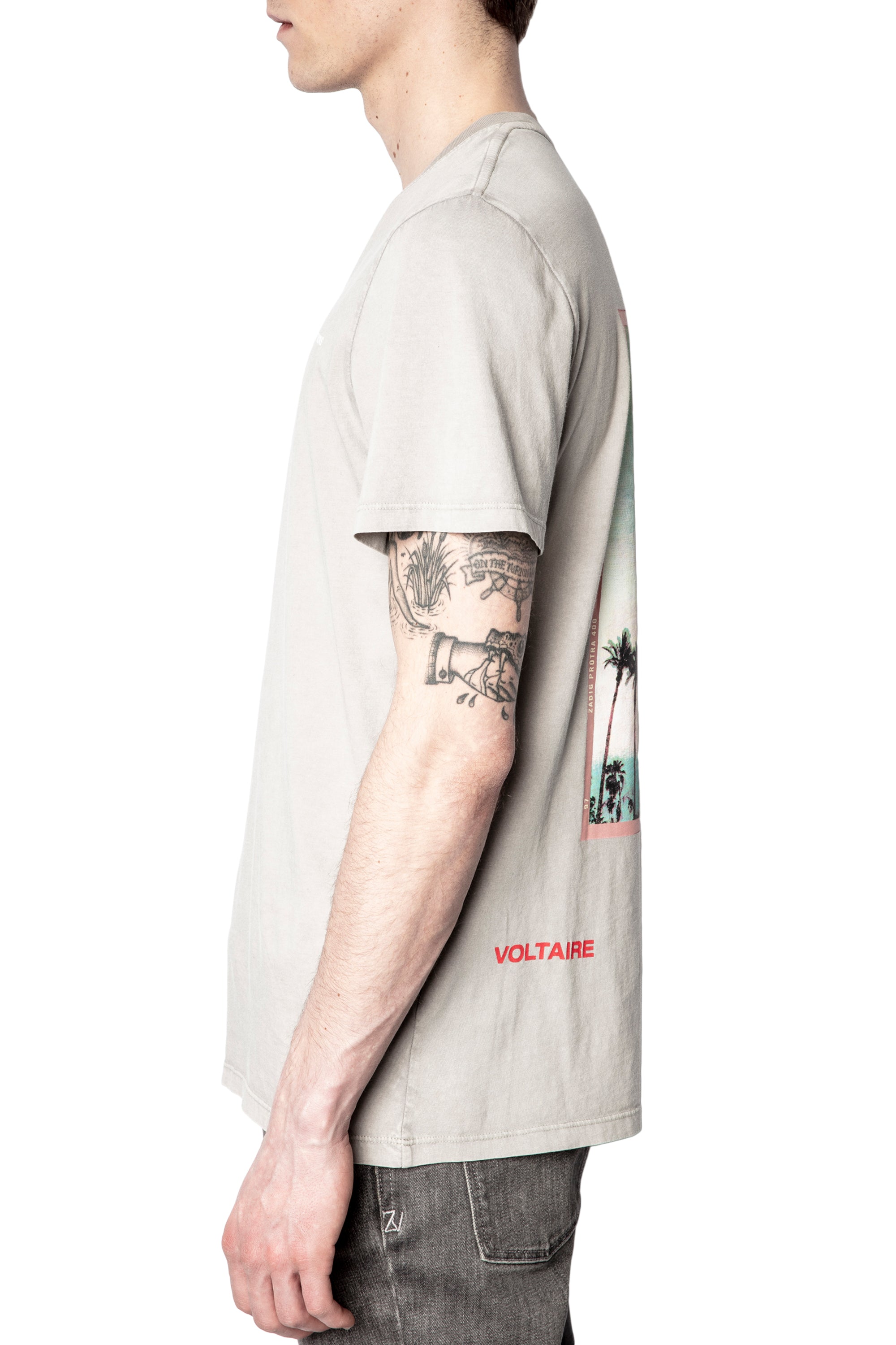 ZHORS LINE LIGHT GREY TED HC PEACE PHOTOPRINT T-SHIR