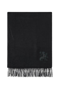Écharpe à broderie et franges en cachemire - Noir