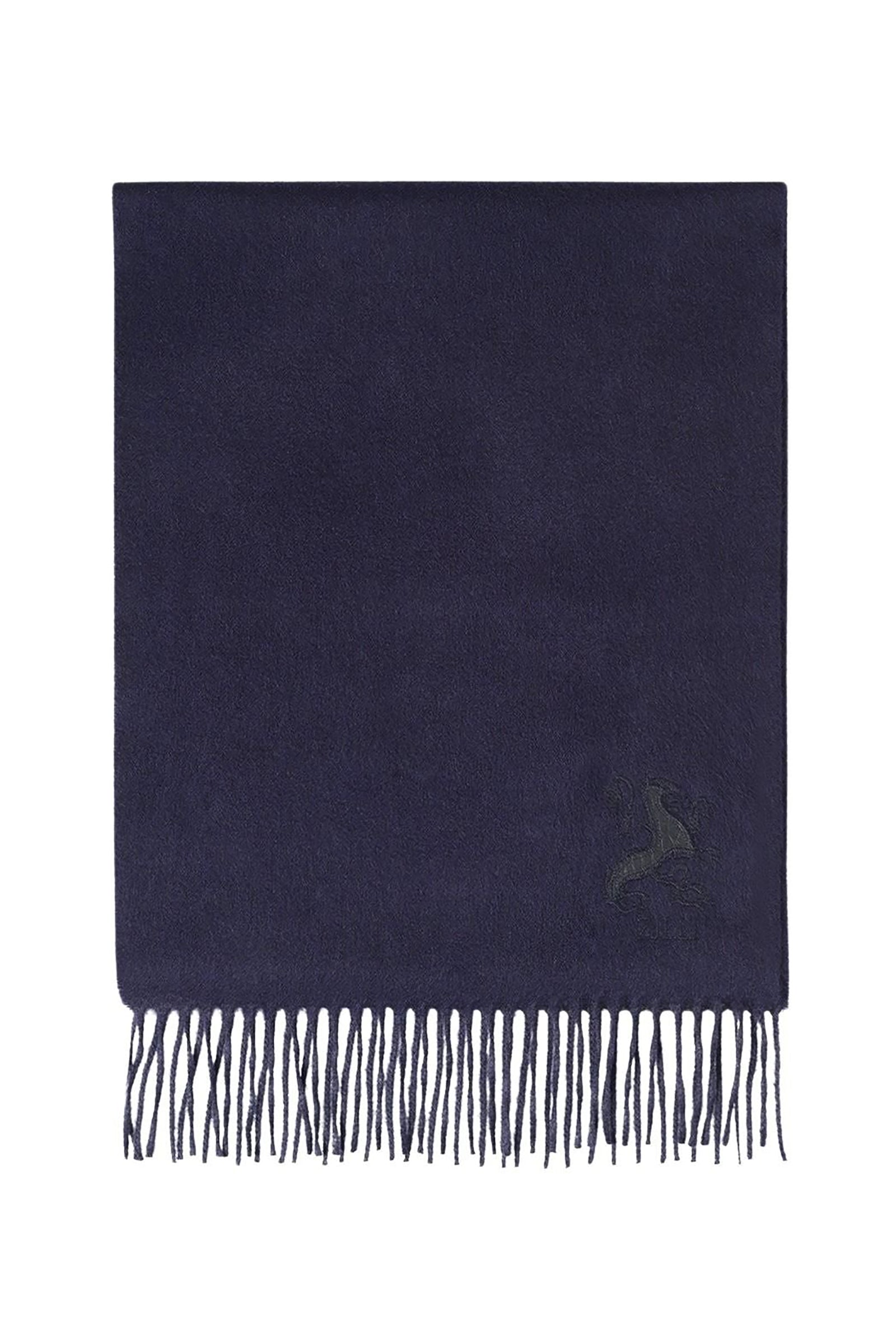 Écharpe à motif brodé en cachemire - Bleu