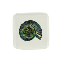 Conchiglia square porcelain fossil ashtray - Green